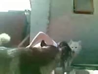 Brunette hottie acquires screwed by her pet Husky